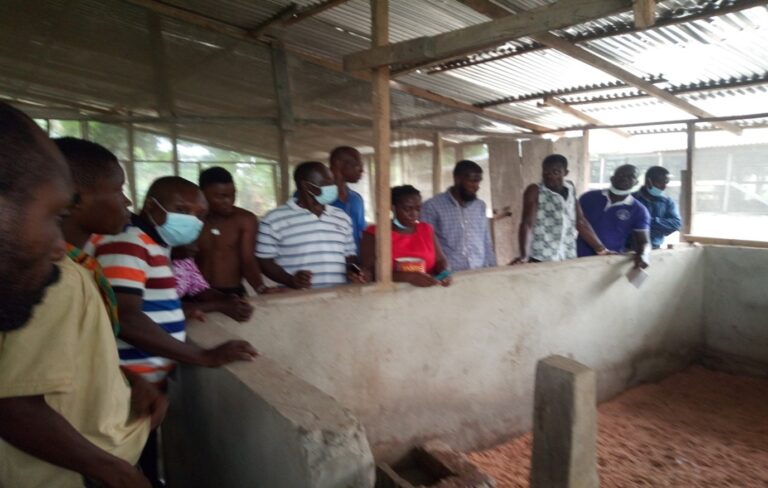 IMO Technology Training For Selected Pig Farmers In Shama District