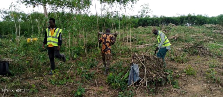 Field Visit With Agric Director