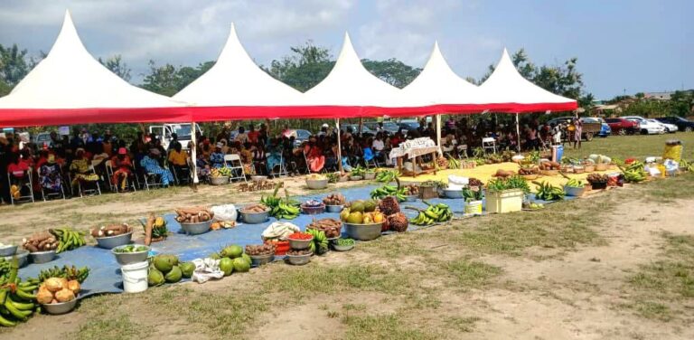 𝐒𝐇𝐀𝐌𝐀 𝐌𝐔𝐍𝐈𝐂𝐈𝐏𝐀𝐋 𝐀𝐒𝐒𝐄𝐌𝐁𝐋𝐘 𝐌𝐀𝐑𝐊𝐒 𝟒𝟏𝐒𝐓 𝐅𝐀𝐑𝐌𝐄𝐑𝐒’ 𝐃𝐀𝐘 𝐂𝐄𝐋𝐄𝐁𝐑𝐀𝐓𝐈𝐎𝐍 𝐀𝐓 𝐀𝐒𝐒𝐎𝐑𝐊𝐎